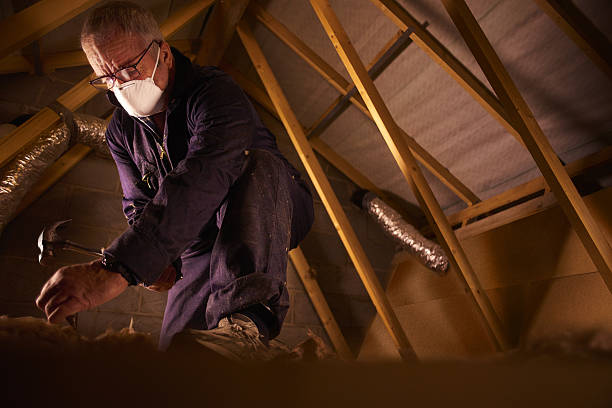 Professional Insulation Contractor in AZ